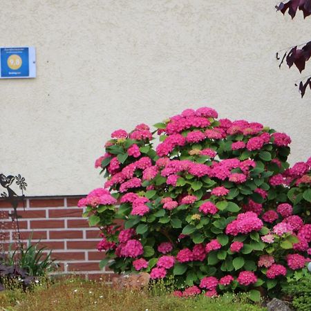 Ferienwohnung-Wieber Kappel-Grafenhausen Bagian luar foto